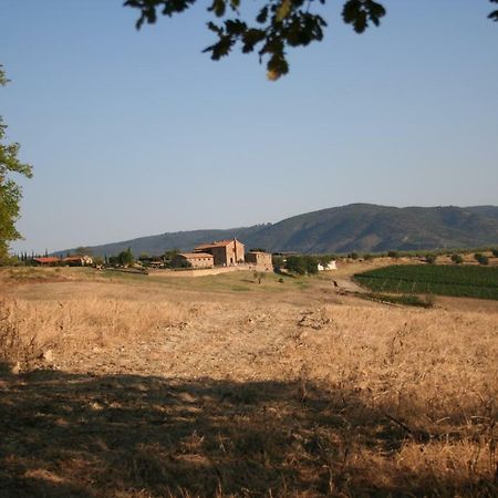 Agriturismo Podere Del Vescovo Montenero d'Orcia Luaran gambar