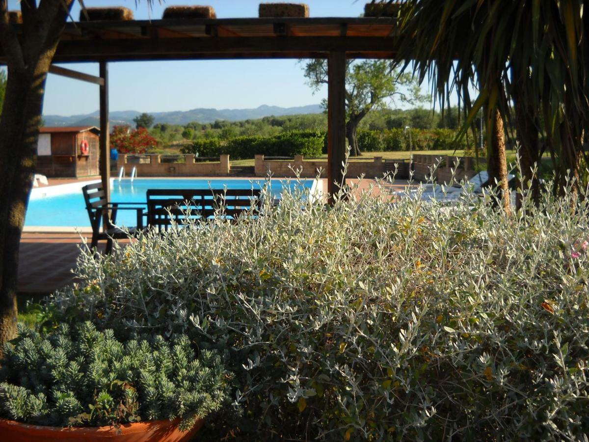 Agriturismo Podere Del Vescovo Montenero d'Orcia Luaran gambar