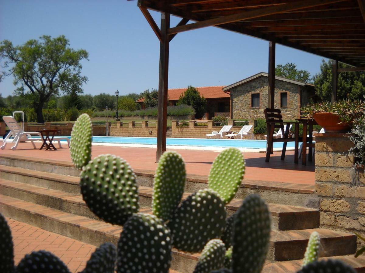 Agriturismo Podere Del Vescovo Montenero d'Orcia Luaran gambar