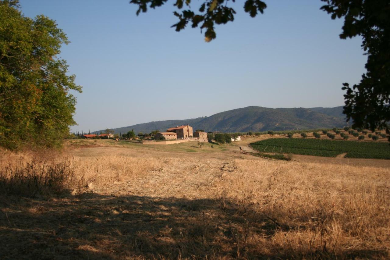 Agriturismo Podere Del Vescovo Montenero d'Orcia Luaran gambar