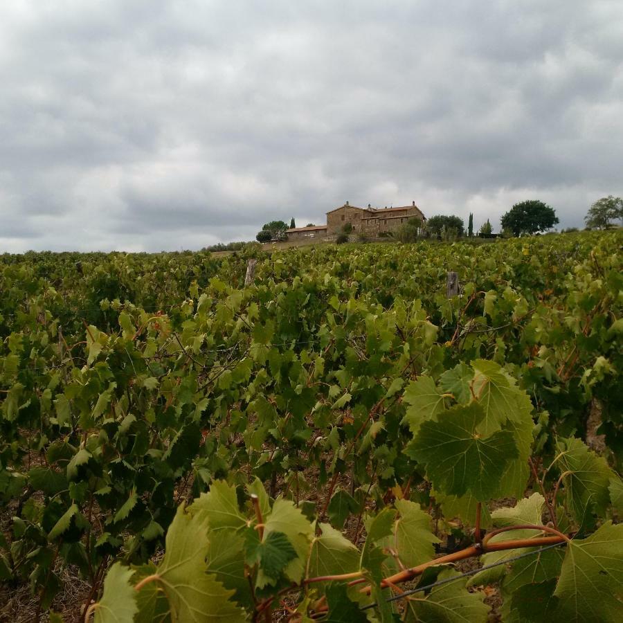 Agriturismo Podere Del Vescovo Montenero d'Orcia Luaran gambar