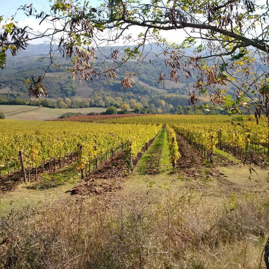 Agriturismo Podere Del Vescovo Montenero d'Orcia Luaran gambar