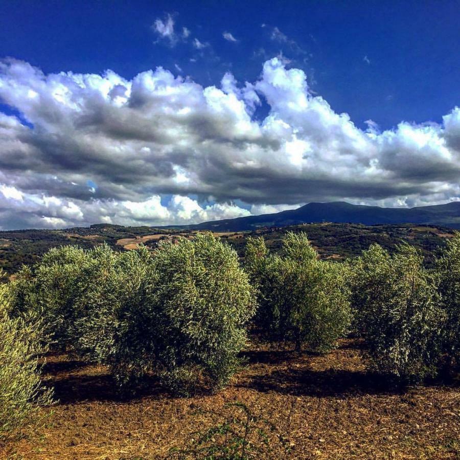 Agriturismo Podere Del Vescovo Montenero d'Orcia Luaran gambar