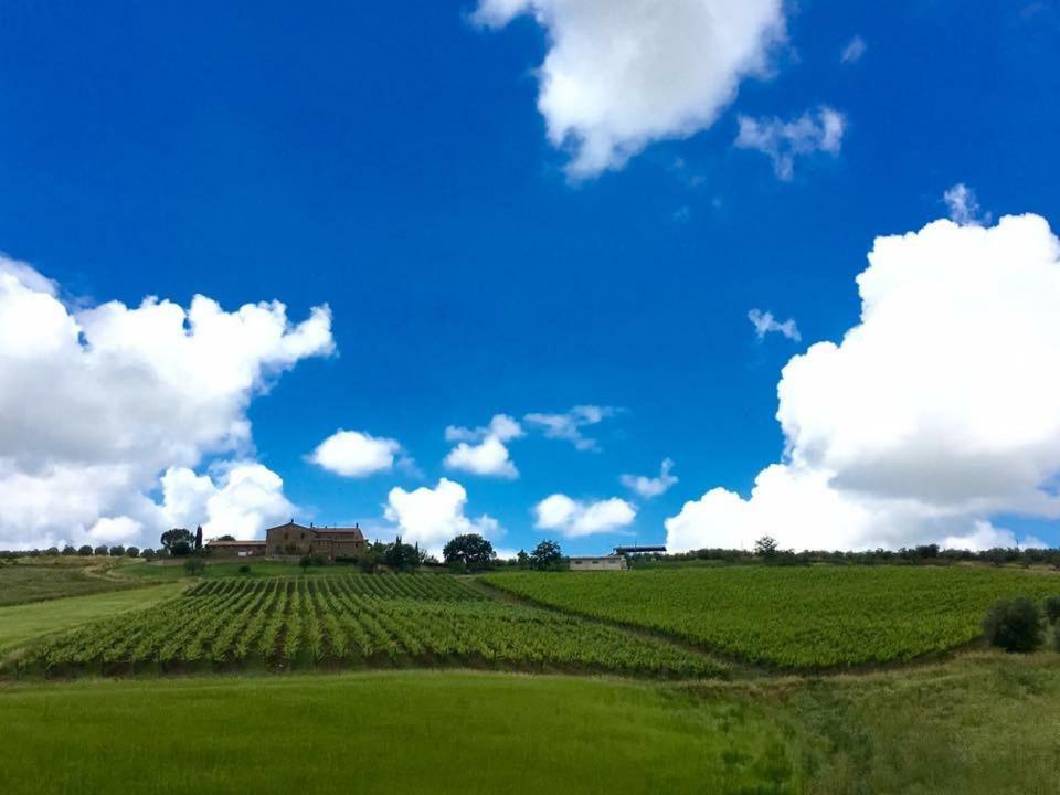 Agriturismo Podere Del Vescovo Montenero d'Orcia Luaran gambar
