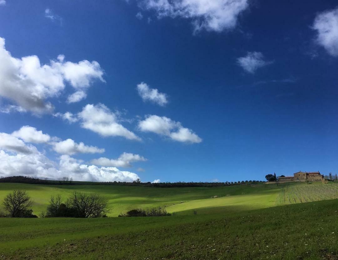 Agriturismo Podere Del Vescovo Montenero d'Orcia Luaran gambar