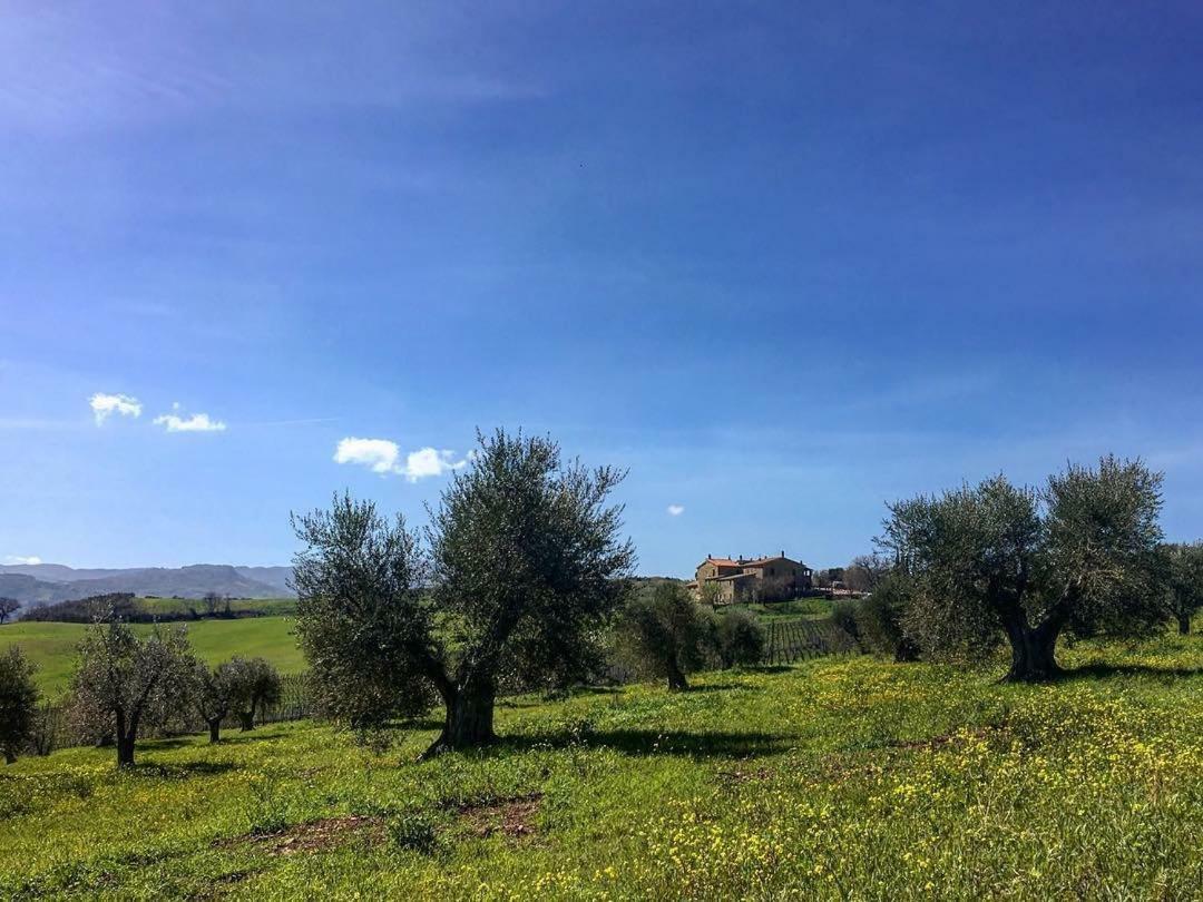 Agriturismo Podere Del Vescovo Montenero d'Orcia Luaran gambar